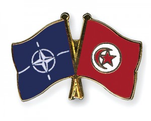 Flag-Pins-NATO-Tunisia