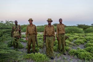As the sun goes down, home guards Farah Aden Zatton, Kulane Muhamed Ahamed and Daud Omar Kalil set out for their evening patrol in Ijara and near Kenya's sparsely populated border area with Somalia.